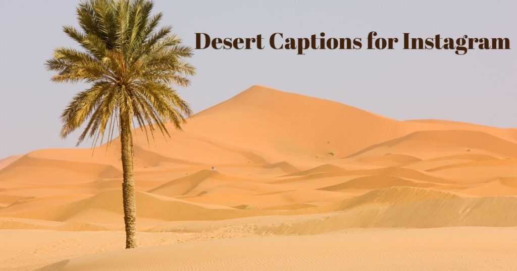 desert-captions-for-instagram