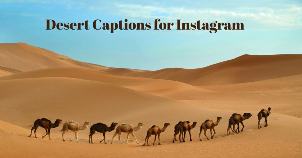 desert-captions-for-instagram