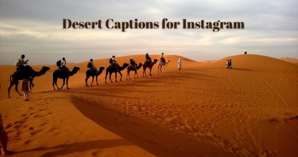 desert-captions-for-instagram
