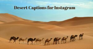 desert-captions-for-instagram