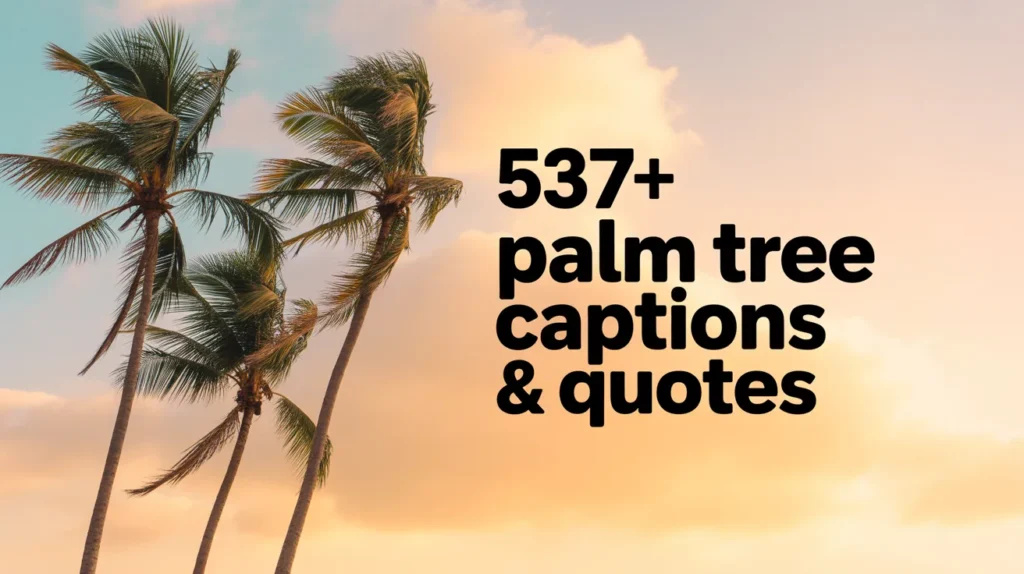 Palm Tree Captions