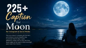 Caption for Moon