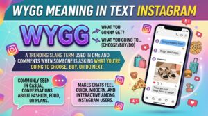 Wygg meaning in text